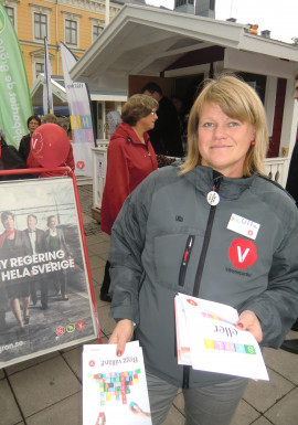 Ulla Andersson, Vänsterpartiet