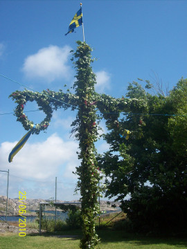 - Flädern blommar vid Midsommar i Södra Norrland!