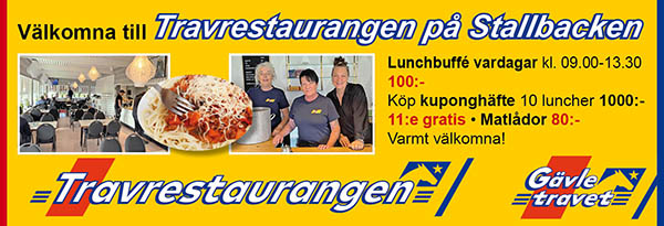 Gävletravet lunch