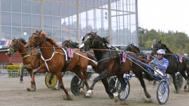 Kvällstävlingar på Gävletravet - med fri entré.