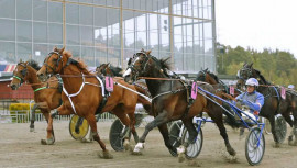 Stjärnspäckad kallblodskväll på Gävletravet.